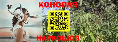 гидра Ивантеевка